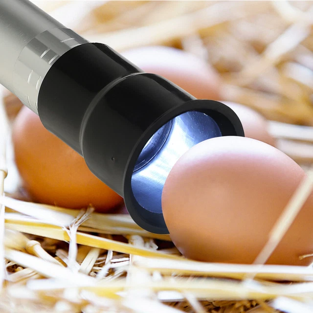 Light Egg Candler Farm Hand Held Egg Lamp Rechargeable LED Flashlight Major 2