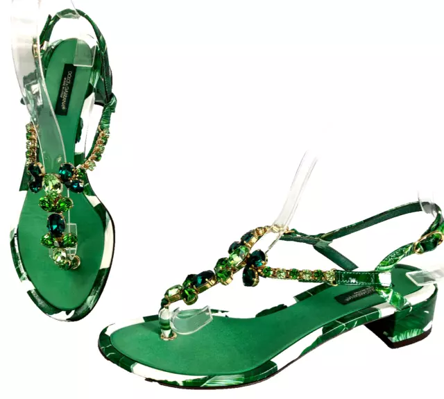 37  Dolce Gabbana Jungle Print Crystal Gem Jewel Low Heel Sandal Thong
