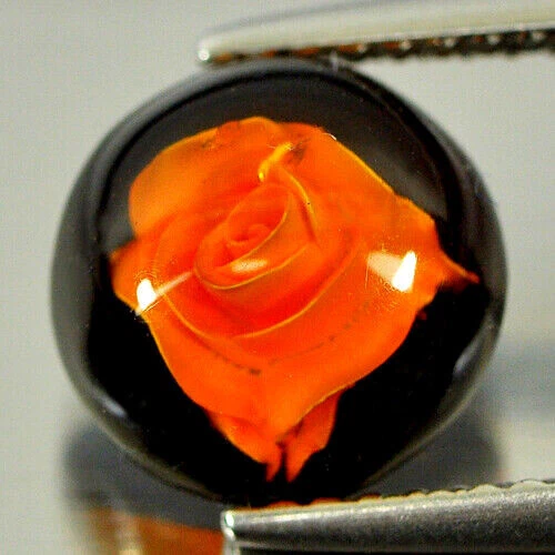 ★★ RARE !  AMBRE AVEC FLEUR DE POLOGNE : 8.5 mm ★★ P309.149t