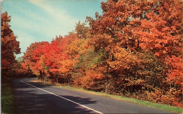 Autumn Skyline Drive Shenandoah National Park Virginia VA Unposted Postcard