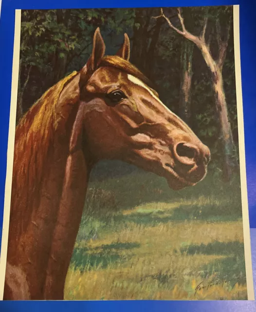 1952 Man O War Racehorse George Ford Morris Print From Portraiture Of Horses