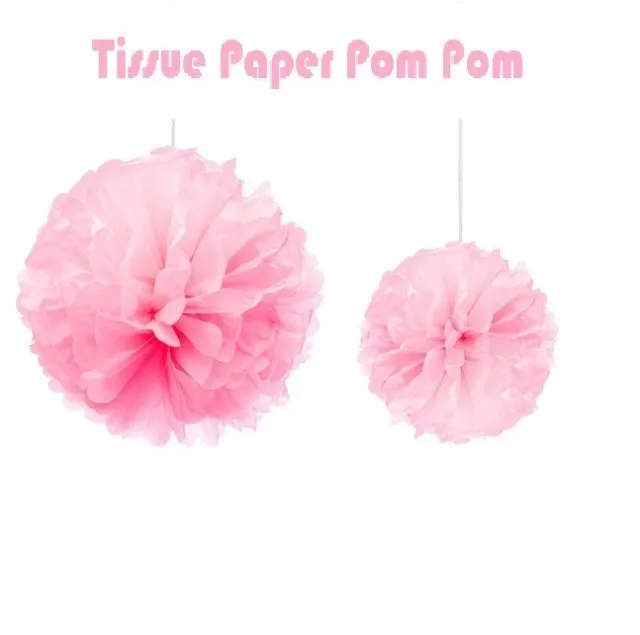 Tissue Paper Pompoms Pom Poms Hanging Flower Balls  Wedding Decoration-20Pack