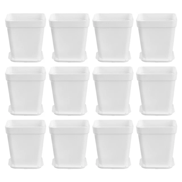 12 Pcs Pot De Fleur En Céramique Avec Plateau Mini Pots Pour Plantes Mini-pots