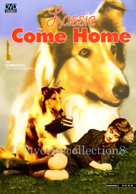 Lassie Come Home (1943) - Turner Classic Movies