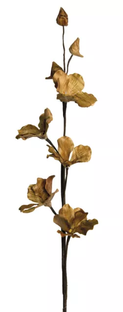 Naturblume - Solarpflanze Eliana 92 cm