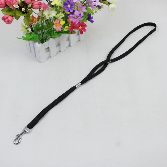 Chat Pet Chien Corde Boucle Réglable Corde Harnais Laisse Pour Douche De Bain