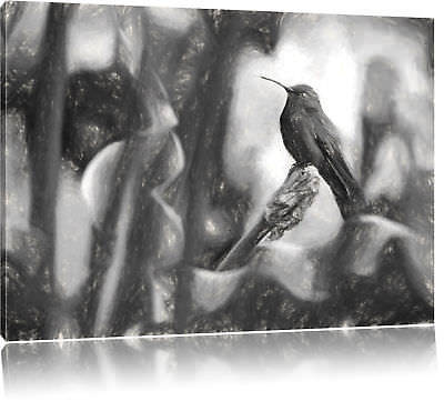Colibri Colibrì IN Seinem Naturali Habitat Arte Carbone Effetto Quadro su Tel Wanddek 