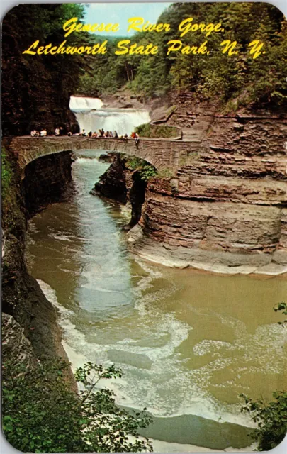 Genesee River Gorge Letchworth State Park New York NY Unposted Postcard