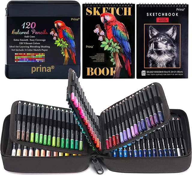 Art Supplies 120-Color Artists Colored Pencils Set for Adults Coloring BooksNew
