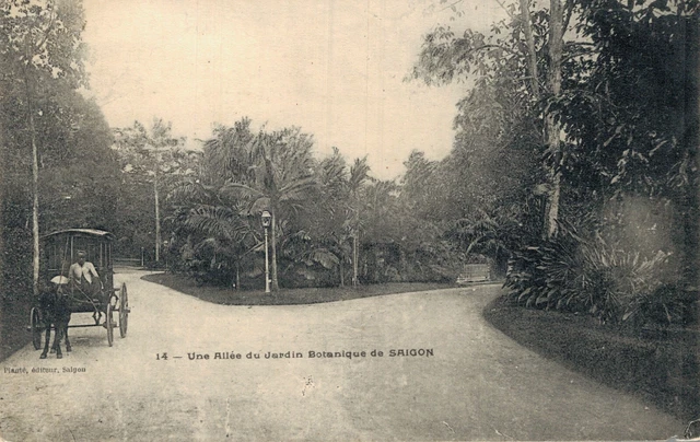 Vietnam Cochinchine  An Alley of the Botanical Garden of Saigon 05.51