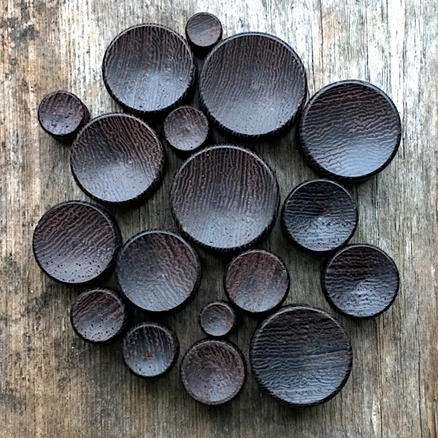 Pair Concave Snake Wood Ear Plugs - Organic Saddle Gauges Flesh Tunnels Earrings