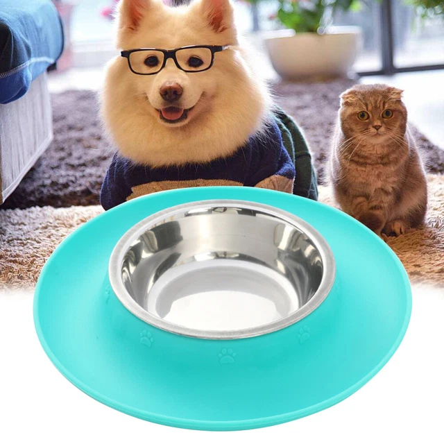 Dog Feeding Station Water Bowls Puppy Water Bowl Feeding Bowl
