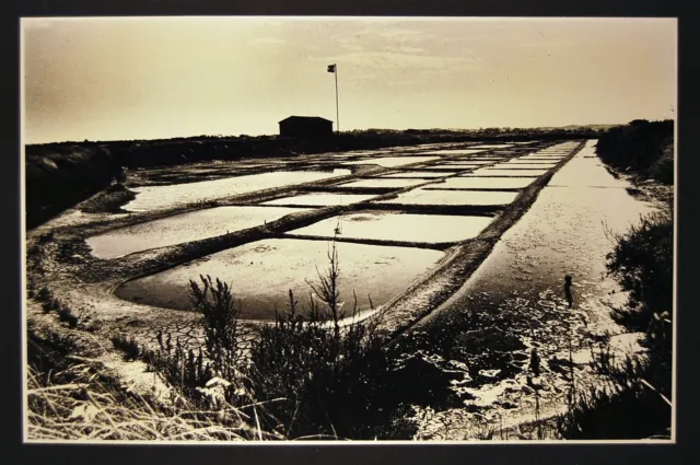 ANTIQUE ART PHOTOGRAPHY SALINE VENDEE MARAIS SALANT Jean-Marie AUGUSTIN