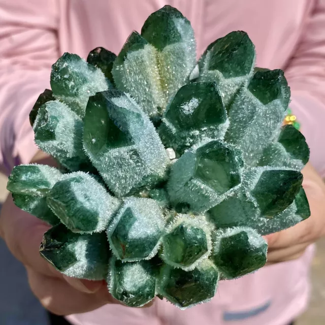 1.1LB New Find Green Phantom Quartz Crystal Cluster Mineral Specimen Healing