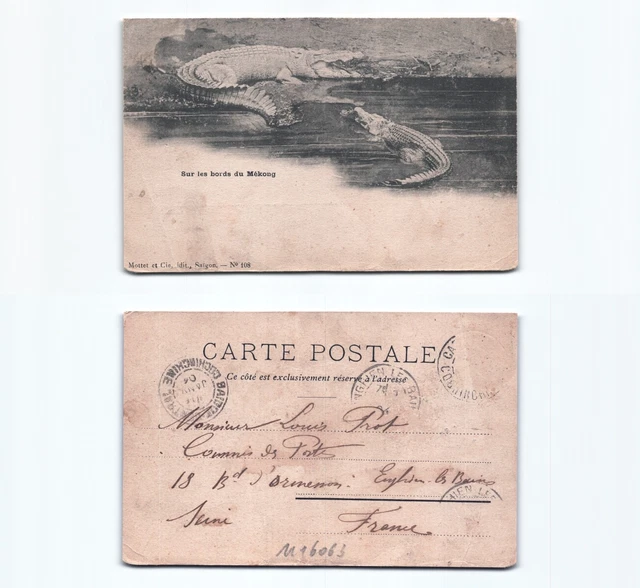 (n16063)   Mekong Krokodile 1904   Ansichtskarte Indochina (französisch)