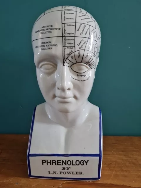 Original L.N fowler porcelain phrenology 12'' ceramic head Antique