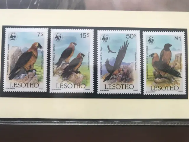 Lesotho 1986 WWF Satz Bartgeier postfrisch