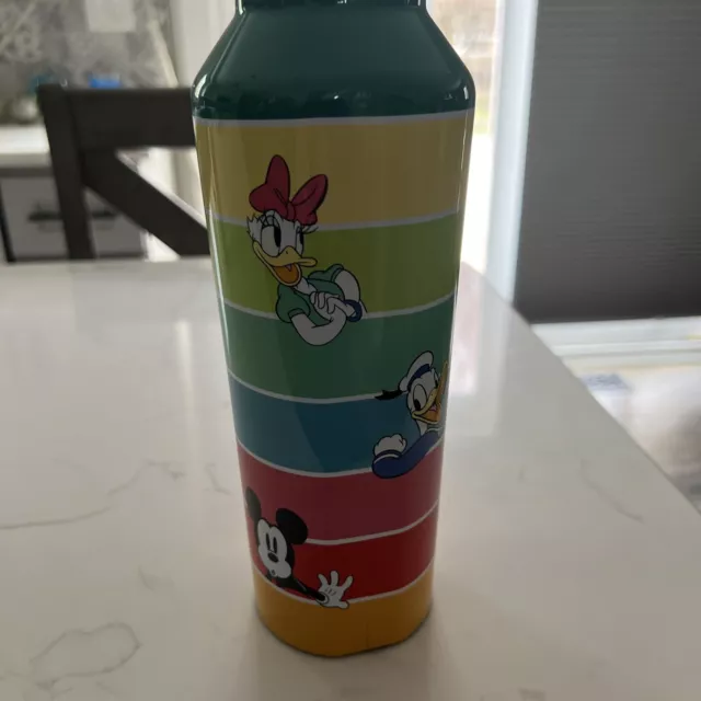 Disney Parks Mickey & Friends Stainless Steel Canteen by Corkcicle New With Tags