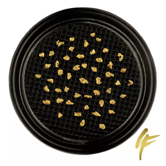 20 | 50 Echte Goldnuggets aus Alaska 1 mm 20-23 Karat Münze Barren Schmuck