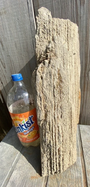 IMPRESSIVE* 29.11 Lb Petrified Fossil Wood Log Covered In Large Druzy-Over 20” L 9