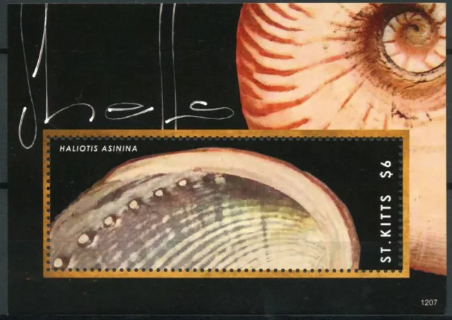 St Kitts 2012 MNH Shells 1v S/S Marine Seashells Haliotis Asinina Stamps