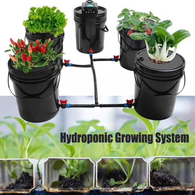 Hydroponics Grow System Kit 5 Buckets 5 Gallon Recirculating Deep Water Culture!