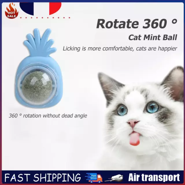 Pineapple Catnip Lickable Ball Interactive Catnip Toys Pet Supplies (Light Blue)