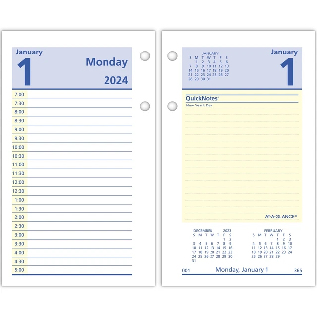 ATAGLANCE QUICKNOTES 2025 Daily LooseLeaf Desk Calendar Refill