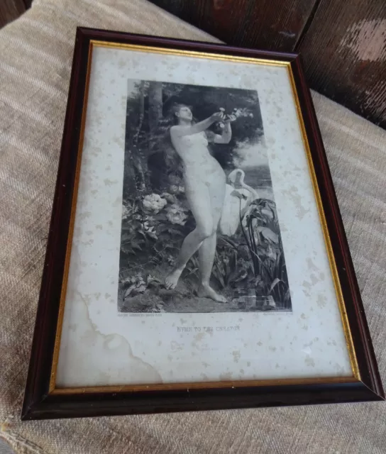 altes Bild Frauenakt Aktbild Erotik mit Rahmen ca.38 x 26 cm aus Hausräumung 