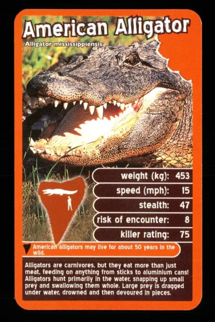 1 x info card deadliest predator American Alligator - R114