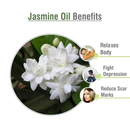 Jasmin (Jasminum) 100% Naturel Huile Essentielle 10ml - 5000ml] 3