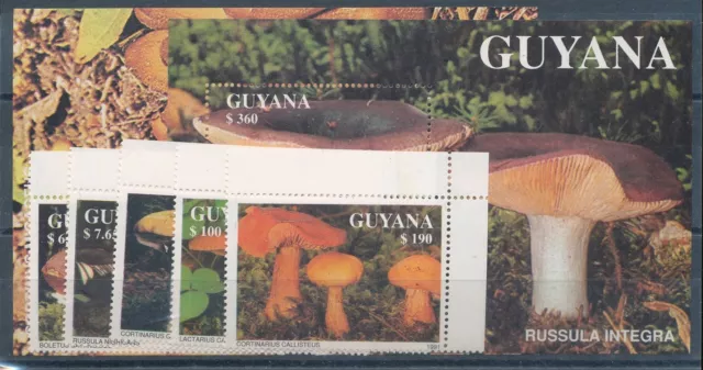 738186) Guyana Nr.3680-3684+Block 142-143** Pilze