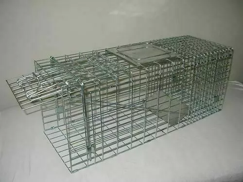 Ebays TOP SELLING Possum Trap Pestrol  Large. Cats dogs foxes possum cage 3