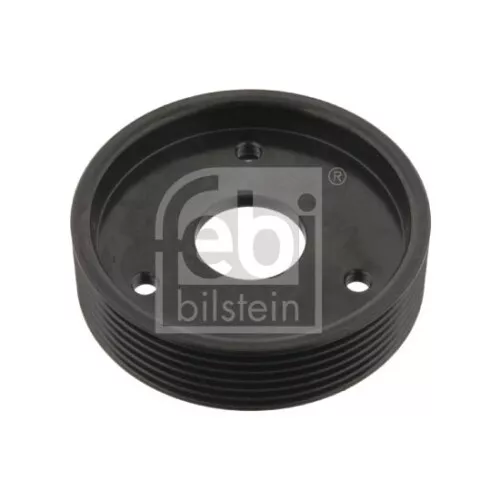 Puleggia Servopompa Febi Bilstein 29501 Febi Plus per Renault