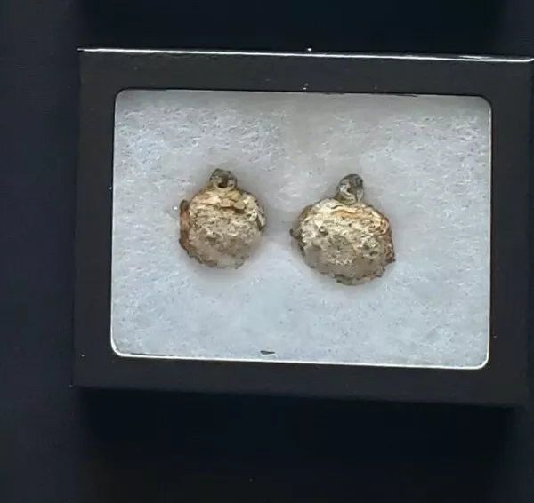 1715, Treasure Fleet, Shipwreck Artifact, Lead Split-Shot, over 300 years old