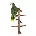Papagei Vögel Sitzstangen Käfig Stand Spielzeug Hängend Holz Aktivität Zweig God