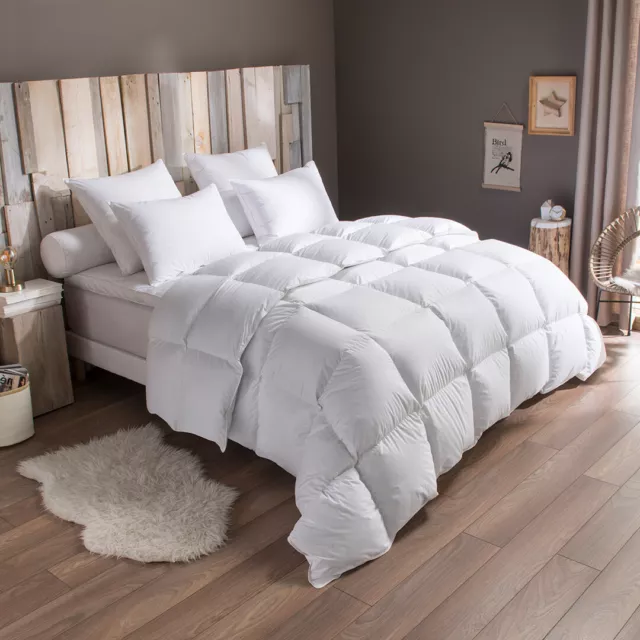 DODO - Pack Duvet Couette chaude + Oreiller -50% duvet de canard