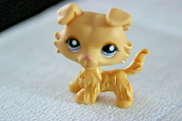 LPS 1194 Littlest Petshop Colley Collie rare pet shop chien