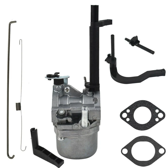 Carburetor for Briggs & Stratton 695919 695330 796323 695920 695328