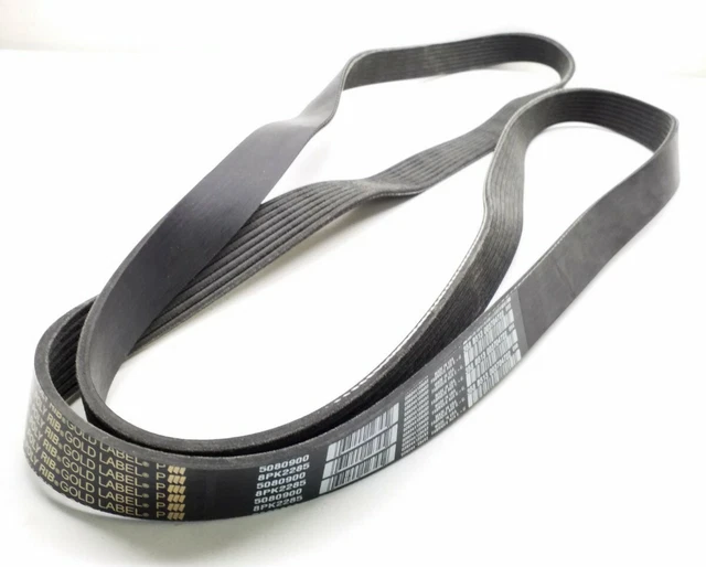 8PK2285 DAYCO POLY Rib Gold Label Serpentine Belt Made In USA 5080900