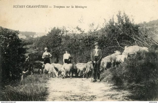 S8154 cpa Scènes Champêtres - Troupeau sur la Montagne