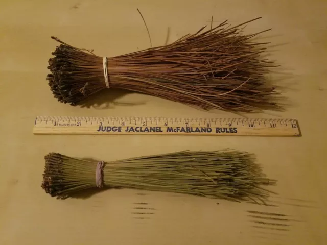 Long Leaf Pine Needles for Coil Basketry Weaving & Crafts 8" To 10" Long 500g