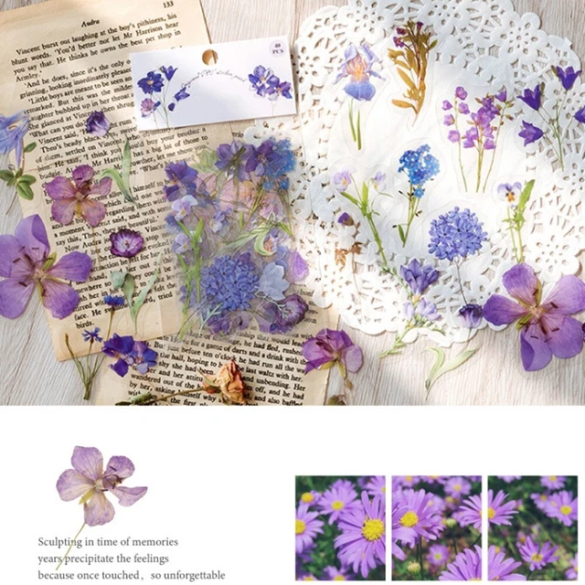 Autocollants 3D Scène DIY - 40 Pièces Stickers Maison + 2 Pinces, Anti-Stress Adultes Enfants