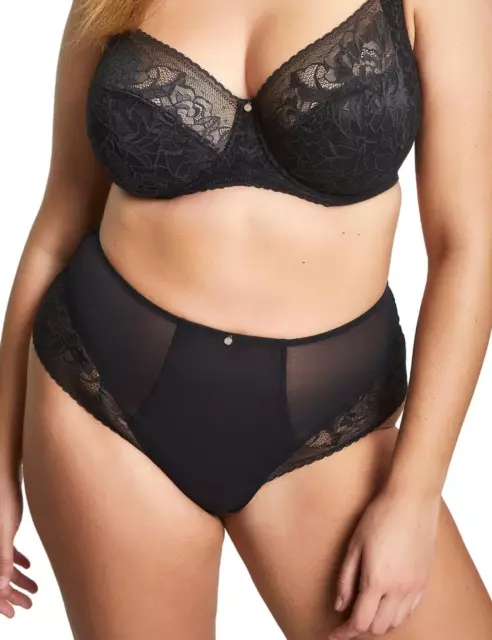 Sculptresse by Panache Dream High Waisted Brief Knickers Curvy Lingerie 10804