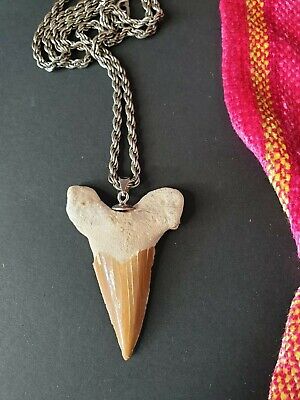 Old Fossilized Shark Tooth Pendant Necklace on Silver Tone Chain (a)