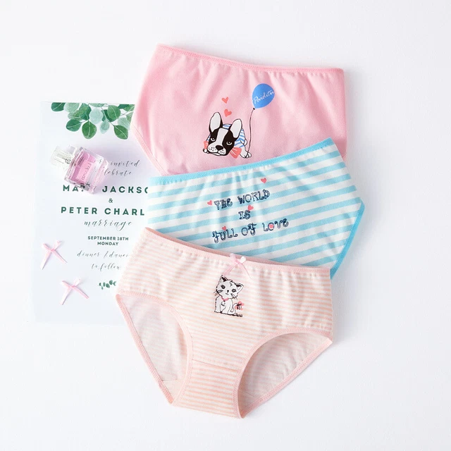 Biancheria Intima Ragazza Slip Knickers Confezioni 3 Cotone Età 2-16 Anni 8