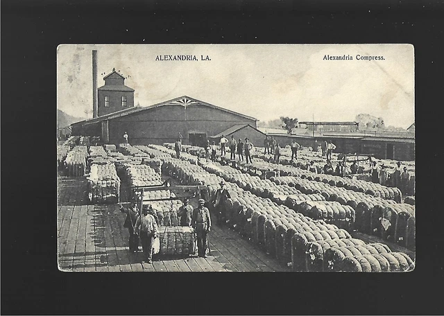 Vintage Postcard  Louisiana  Alexandria Cotton Compress  1908