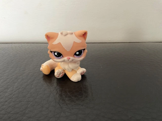 LPS Littlest Pet Shop #428 Chat Persan Authentique HASBRO - Original