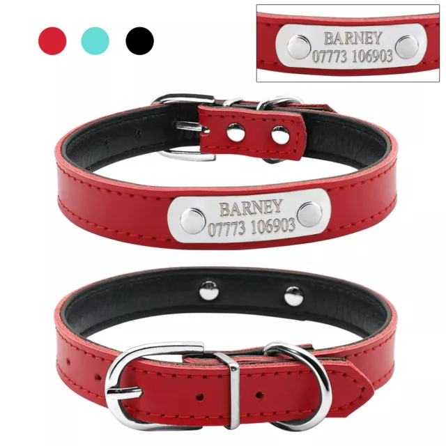 Personalised Leather Dog Collars Custom Pet Cat Puppy ID Name Soft Padded XS S M