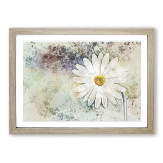Beautiful White Daisy In Abstract Flowers Floral Wall Art Print Framed Picture